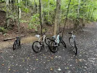 Cozy retreat in Damascus on the AT and Creeper Trail. Pet Friendly!