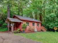 Luxury & charming cabin🏡 on seasonal ⛰️ stream in beautiful forest setting🌳