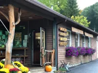 Cabin In The Pines East side Lake George Hotels near Hovey Pond