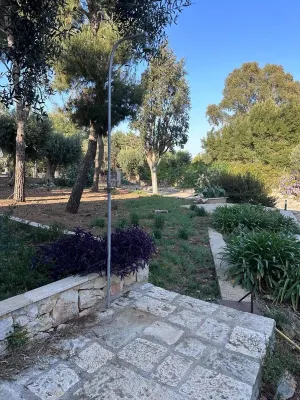 Casa Padronale Immersa Nella Campagna tra Ulivi e Pini Marittimi Hotels in Polignano a mare