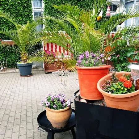 Vacation in the townhouse "Villa Kunterbunt"