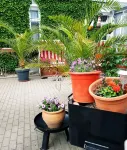 Vacation in the townhouse "Villa Kunterbunt"