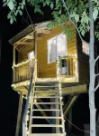 Immerse yourself with nature at this unique living tree-treehouse! Hotels near Napoleon Township Park