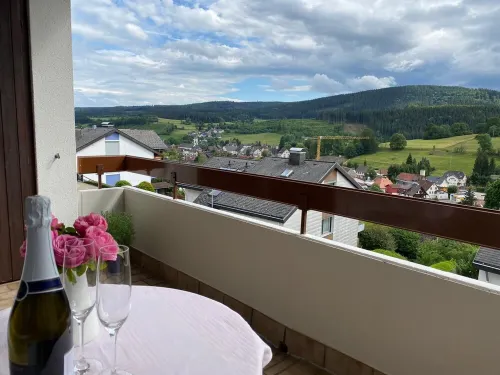 Vacation apartment Schwarzwaldblick in Lenzkirch (incl. HSC) Hotels in Lenzkirch