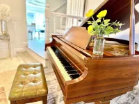 Santa Ana Royal prestige home/ pool-spa resort style/ Disneyland/Beaches/16guest