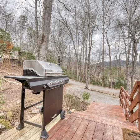 Cozy Country Cottage Just Minutes to Lake Chatuge and 15 Miles from Helen