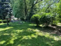 Newly Remodeled Brick Home with wall Sculptures by the Airport
