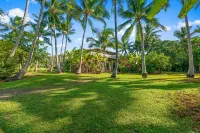 STEPS FROM STUNNING MOLOAA BAY Hotel in zona Hawaiian Organic Noni