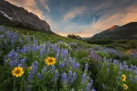 Remodeled ski in/ski out condo in Mt Crested Butte with incredible views!