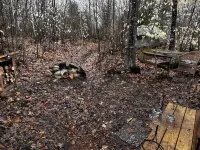 Tiny Cabin on 100 Acres Kayaks/Canoes/Paddleboards