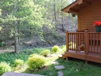 Scenic cabin near Hungry Mother, Mount Rogers, and Grayson Highlands Parks Hotels in Smyth County