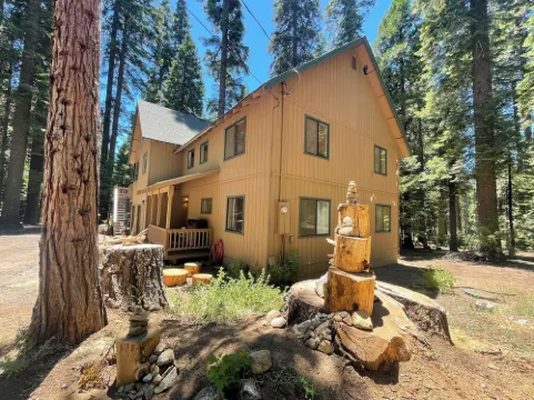 “Big Trees Retreat,” Boasts 5BR/2.5BA, Sleeps-16. 2-level living. Dog friendly!