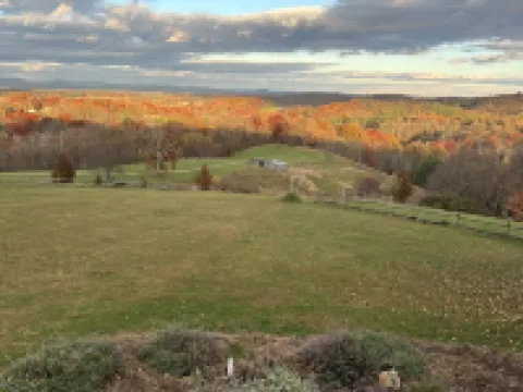 Fancy Gap Mountain Escape Hotels in Laurel Fork