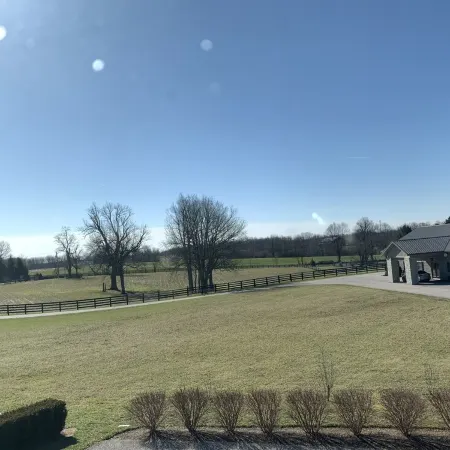 Private Country Estate: 16 miles to Keeneland, 13 to KY Horse Park!