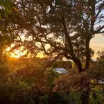 Beautiful beach house amongst the trees