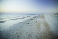 Renovated, Cozy 2Bd 2Ba, Steps from Private Beach & Pool!