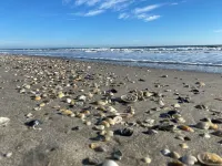 DIRECT OCEANFRONT & PRIVATE BEACH ACCESS on Satellite Beach, FL Hotels in South Patrick Shores