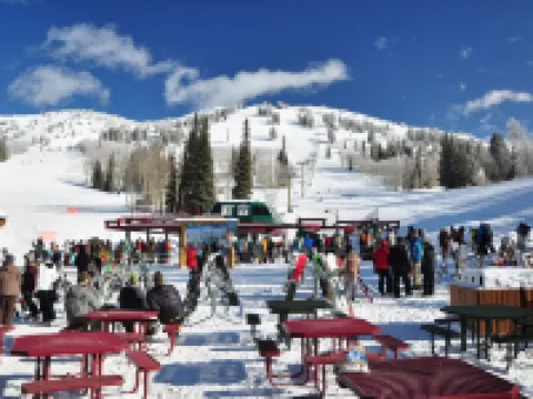 3 bed/2 bath condo, Grand Targhee/Jackson Hole skiing, Yellowstone home base Hotels in Driggs