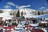 3 bed/2 bath condo, Grand Targhee/Jackson Hole skiing, Yellowstone home base Hotels in Driggs