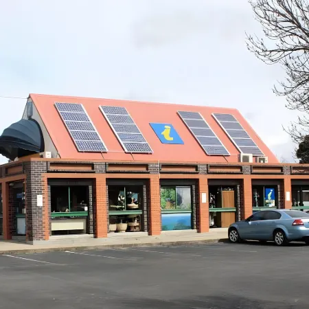 Elite Motor Inn