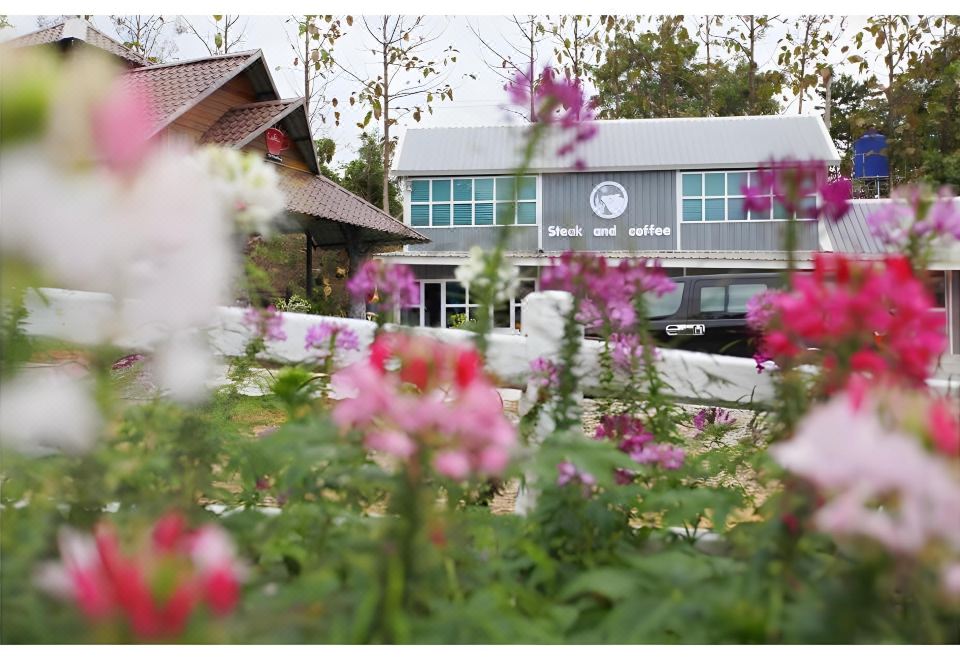 4. 칠 칠 팜 리조..