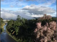 Orange Homestay, Shillong