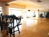 Tas Park Hotel - Gym