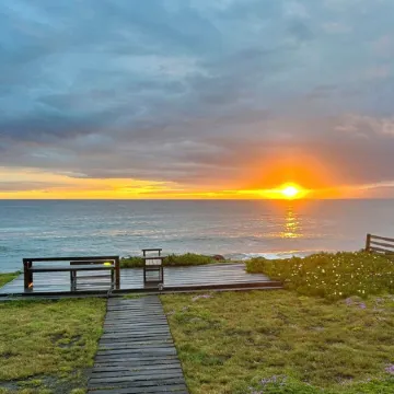 Rare Ocean-Front Near San Francisco. Sunsets, Whale Watching in Seaside Luxury