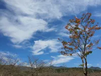 Wanju Del Luna Pension (Hanok Village) Hotels in Wanju-gun