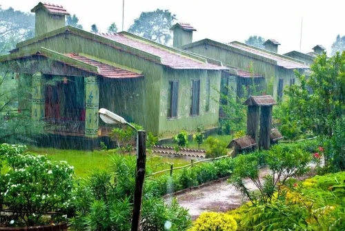 Bastar Jungle Resort Hotels in Kurandi