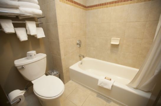 Wolf Den Suite - Waterpark Included Great Wolf Lodge Wisconsin Dells Photo