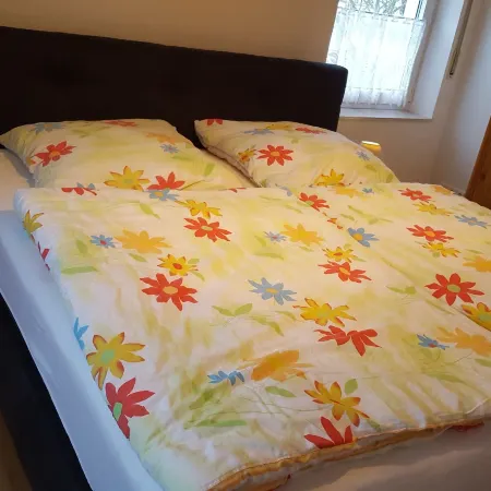 Ferienwohnung Debray