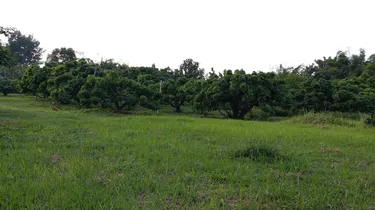 รูปภาพของบ้านสวนโฮมสเตย์