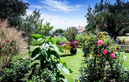 Stylish Apartments With Shared Pool, Sea Views, and Sun Terrace