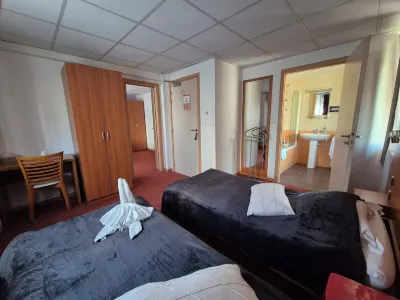 Chez Anabel et Stephane Hotels in Wittenheim