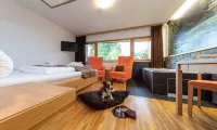 Almfrieden Hotel & Romantikchalet - Wifi