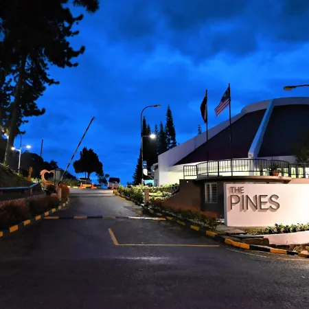 The Pines