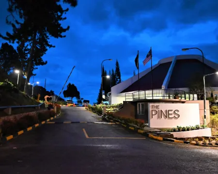 松樹旅館 福隆港酒店