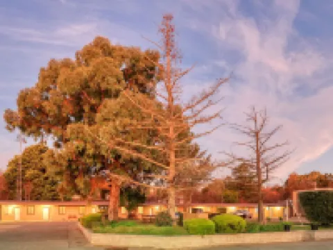 Hamilton Hume Motor Inn Hotels in Yass