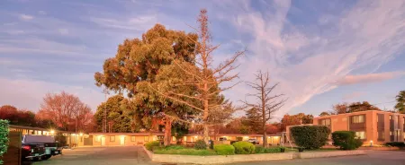 Hamilton Hume Motor Inn