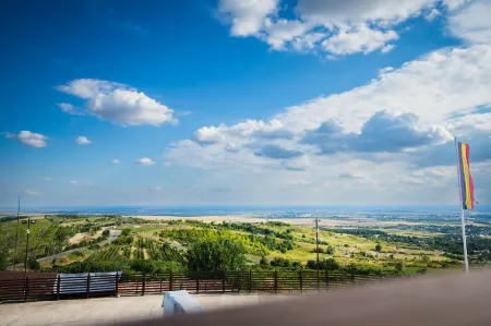 Casa Seciu Отели в г. Targsoru Vechi