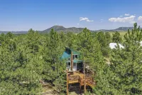 Tree Eagles Nest