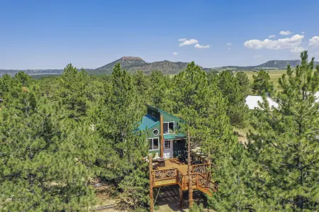 Tree Eagles Nest Отели в г. Палмер Лейк