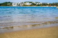 Mystique One Bedroom Apartment by BluPine