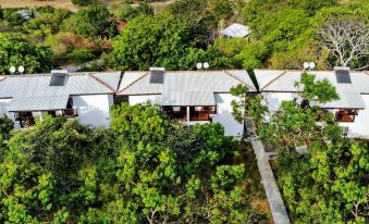 Arana by Forest Trails