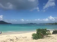 At Home in the Tropics - Bãi biển