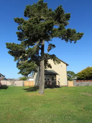 Rock and Wave Cottage At The Beach Redwood National Park附近的飯店