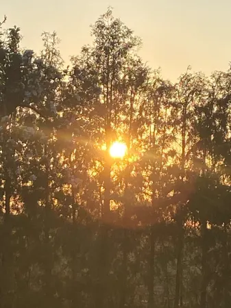 Blockbohlenhaus für 2 Personen Отели в г. Мюриц