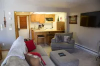 Cozy large studio condo.