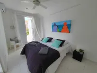 B&B 쿠라카오 N